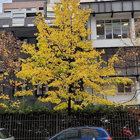 Appartement My Cozy In - Blloku Area