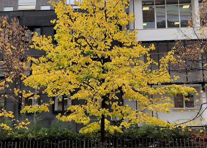 アパート My Cozy In - Blloku Area